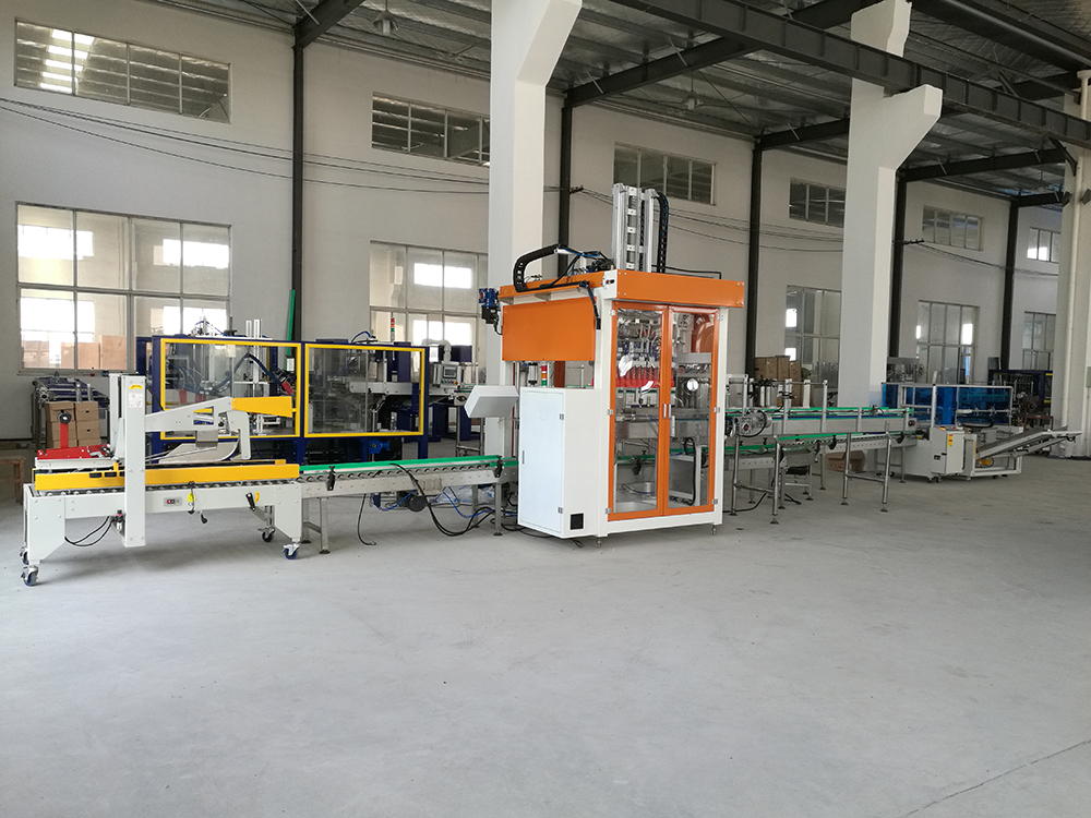 Carton Packing Machine