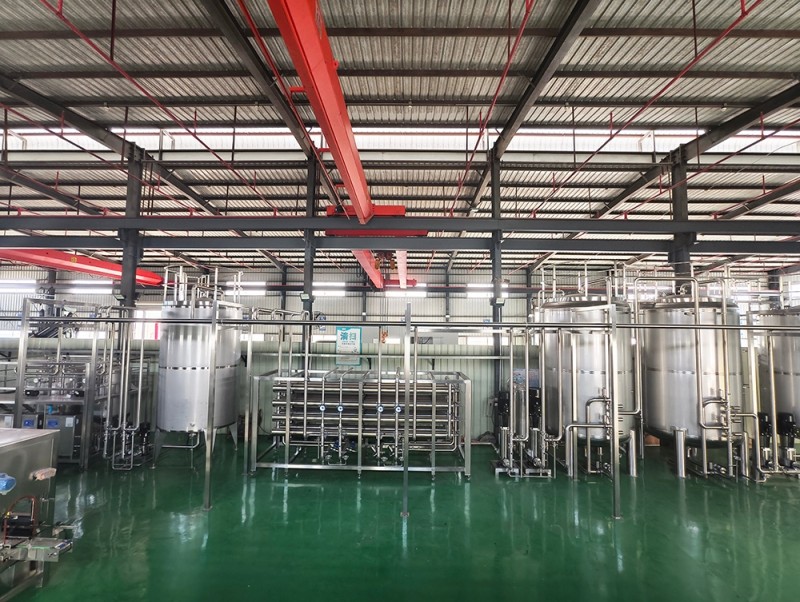 Reverse Osmosis Pure Water Treatment Equipment
