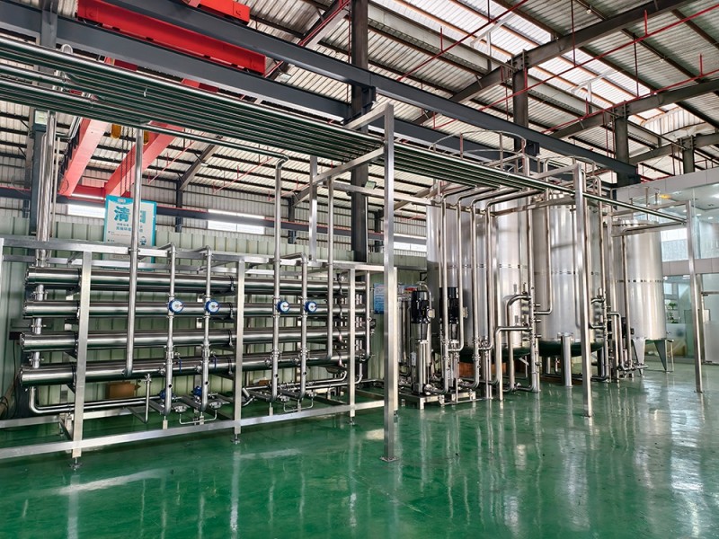 Reverse Osmosis Pure Water Treatment Equipment